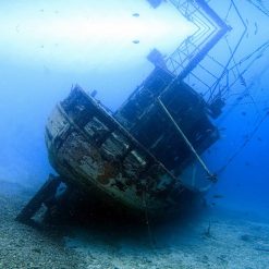 Tranh 3D bể cá TRUNG TỌ 1