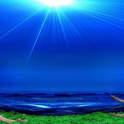 Tranh 3D bể cá TRUNG TỌ 116