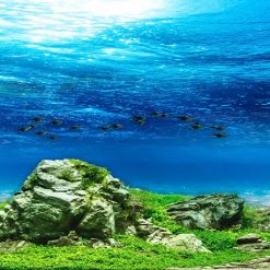 Tranh 3D bể cá TRUNG TỌ 132