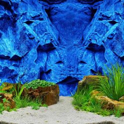 Tranh 3D bể cá TRUNG TỌ 158