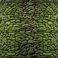 Tranh 3D bể cá TRUNG TỌ 18