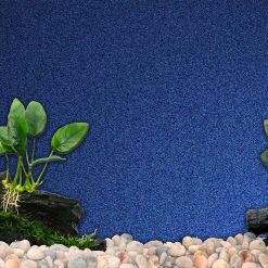 Tranh 3D bể cá TRUNG TỌ 180