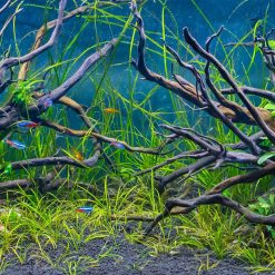 Tranh 3D bể cá TRUNG TỌ 189
