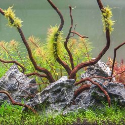 Tranh 3D bể cá TRUNG TỌ 190