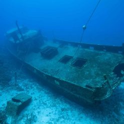 Tranh 3D bể cá TRUNG TỌ 20