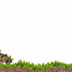 Tranh 3D bể cá TRUNG TỌ 35