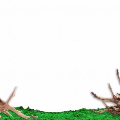 Tranh 3D bể cá TRUNG TỌ 40