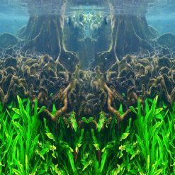 Tranh 3D bể cá TRUNG TỌ 44