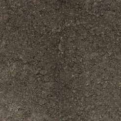 Tranh 3D bể cá TRUNG TỌ 57