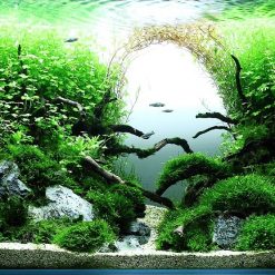Tranh 3D bể cá TRUNG TỌ TT-0184