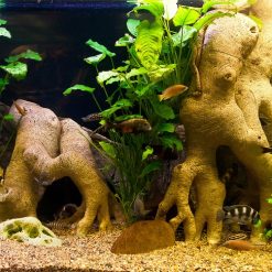 Tranh 3D bể cá TRUNG TỌ TT-0239