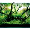 Tranh 3D bể cá TRUNG TỌ TT-0330