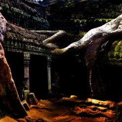 Tranh 3D bể cá TRUNG TỌ TT-0418