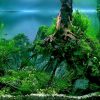 Tranh 3D bể cá TRUNG TỌ TT-0435