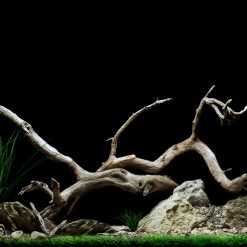 Tranh 3D bể cá TRUNG TỌ TT-0439