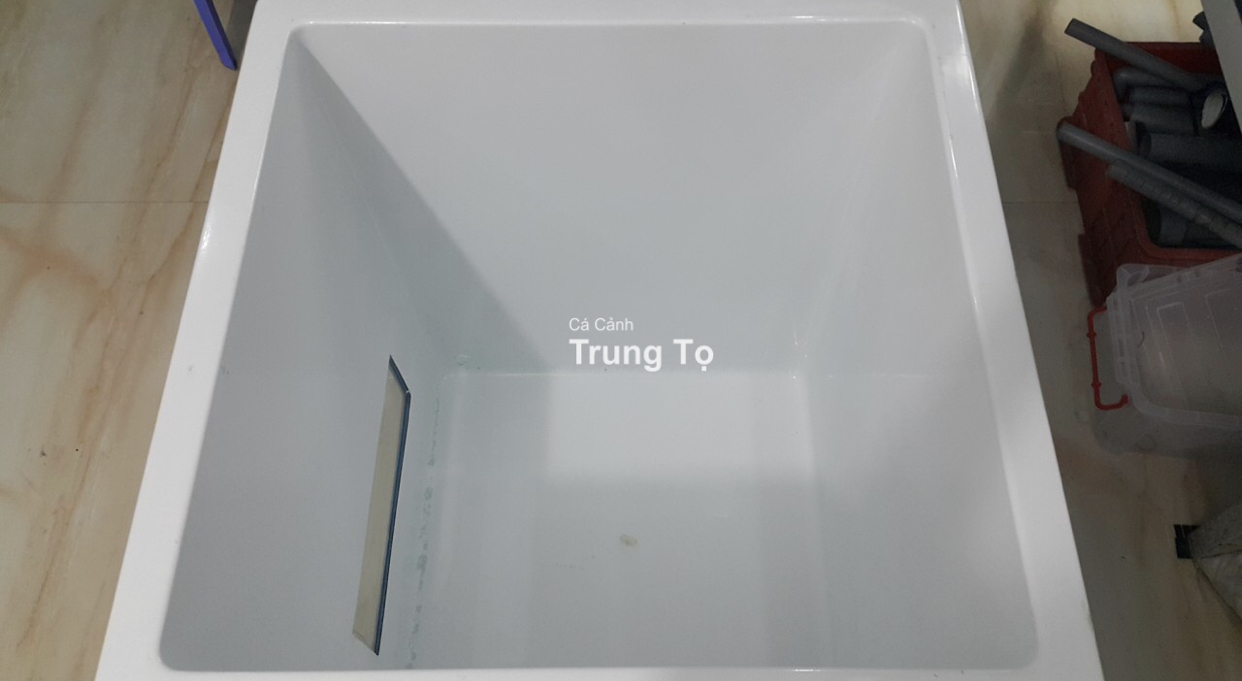 Thùng composite pom cá trungto.com 4 Thùng composite pom cá trungto.com 8