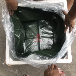 túi đựng cá rồng hổ sam