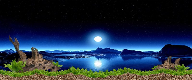Tranh 3D bể cá TRUNG TỌ 103