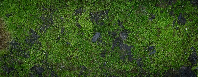 Tranh 3D bể cá TRUNG TỌ 113