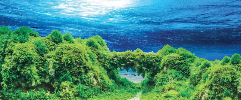 Tranh 3D bể cá TRUNG TỌ 122