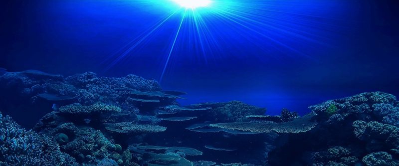 Tranh 3D bể cá TRUNG TỌ 131