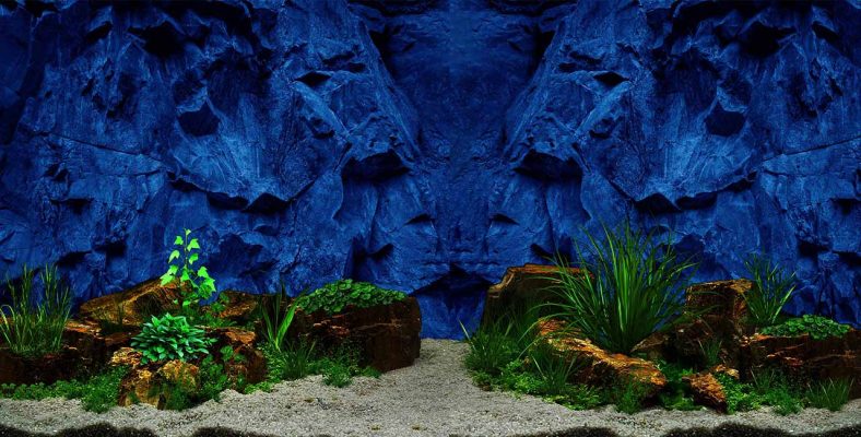 Tranh 3D bể cá TRUNG TỌ 157