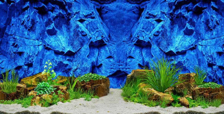 Tranh 3D bể cá TRUNG TỌ 158