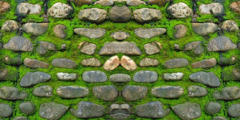 Tranh 3D bể cá TRUNG TỌ 19