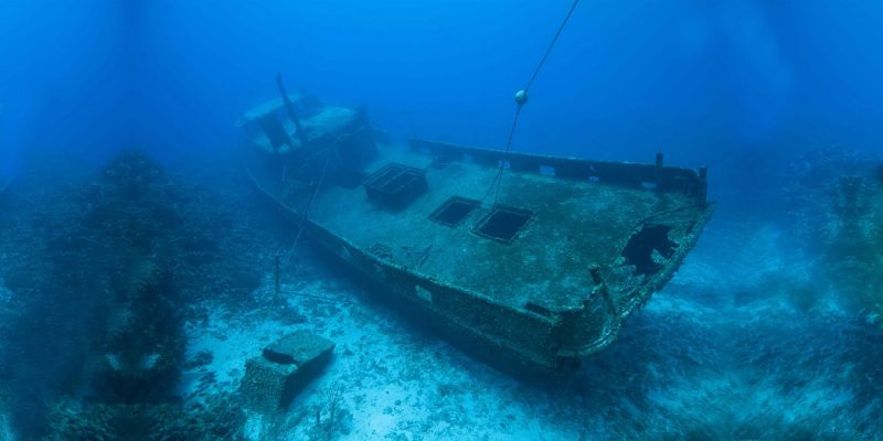 Tranh 3D bể cá TRUNG TỌ 20