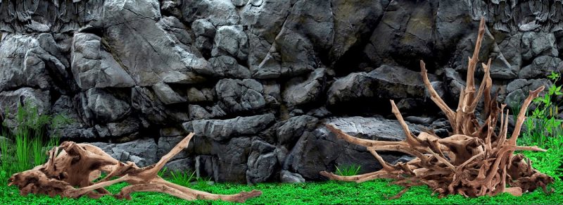 Tranh 3D bể cá TRUNG TỌ 29