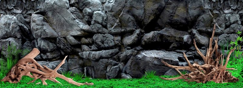 Tranh 3D bể cá TRUNG TỌ 30