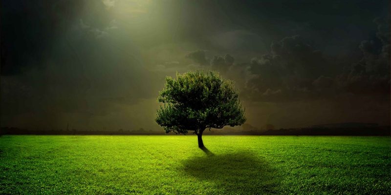 Tranh 3D bể cá TRUNG TỌ 31