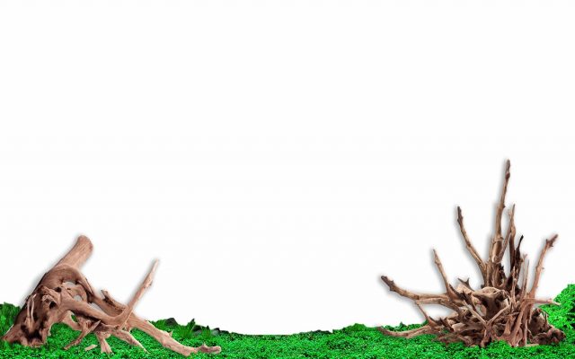 Tranh 3D bể cá TRUNG TỌ 40