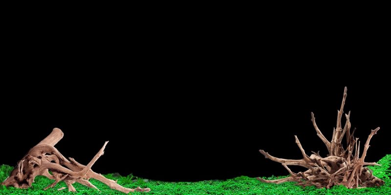 Tranh 3D bể cá TRUNG TỌ 41