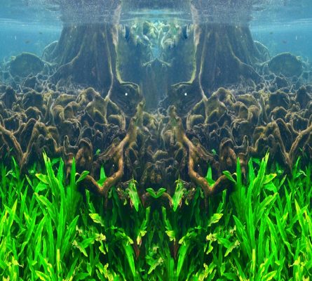 Tranh 3D bể cá TRUNG TỌ 44