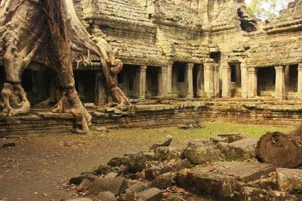 Tranh 3D bể cá TRUNG TỌ TT-0081