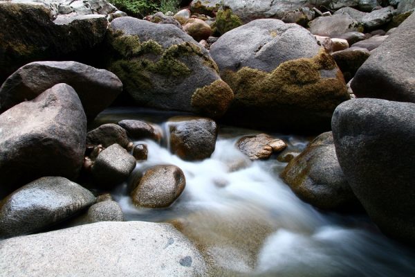 Tranh 3D bể cá TRUNG TỌ TT-0132