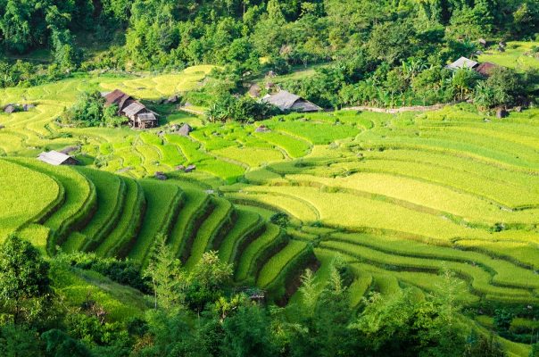 Tranh 3D bể cá TRUNG TỌ TT-0160