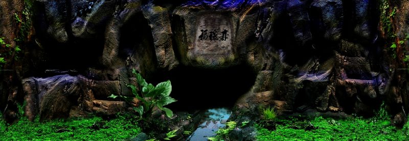 Tranh 3D bể cá TRUNG TỌ TT-0415