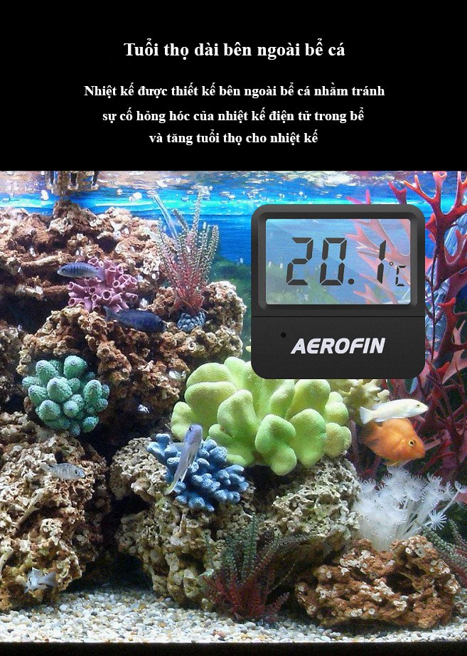 Nhiệt kế điện tử aerofin Pháp 7