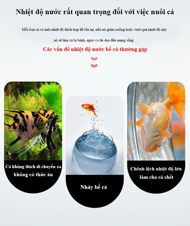 Nhiệt kế điện tử aerofin Pháp 9